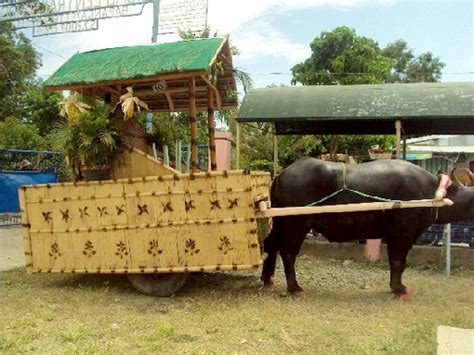 Pastoral and kariton guide .